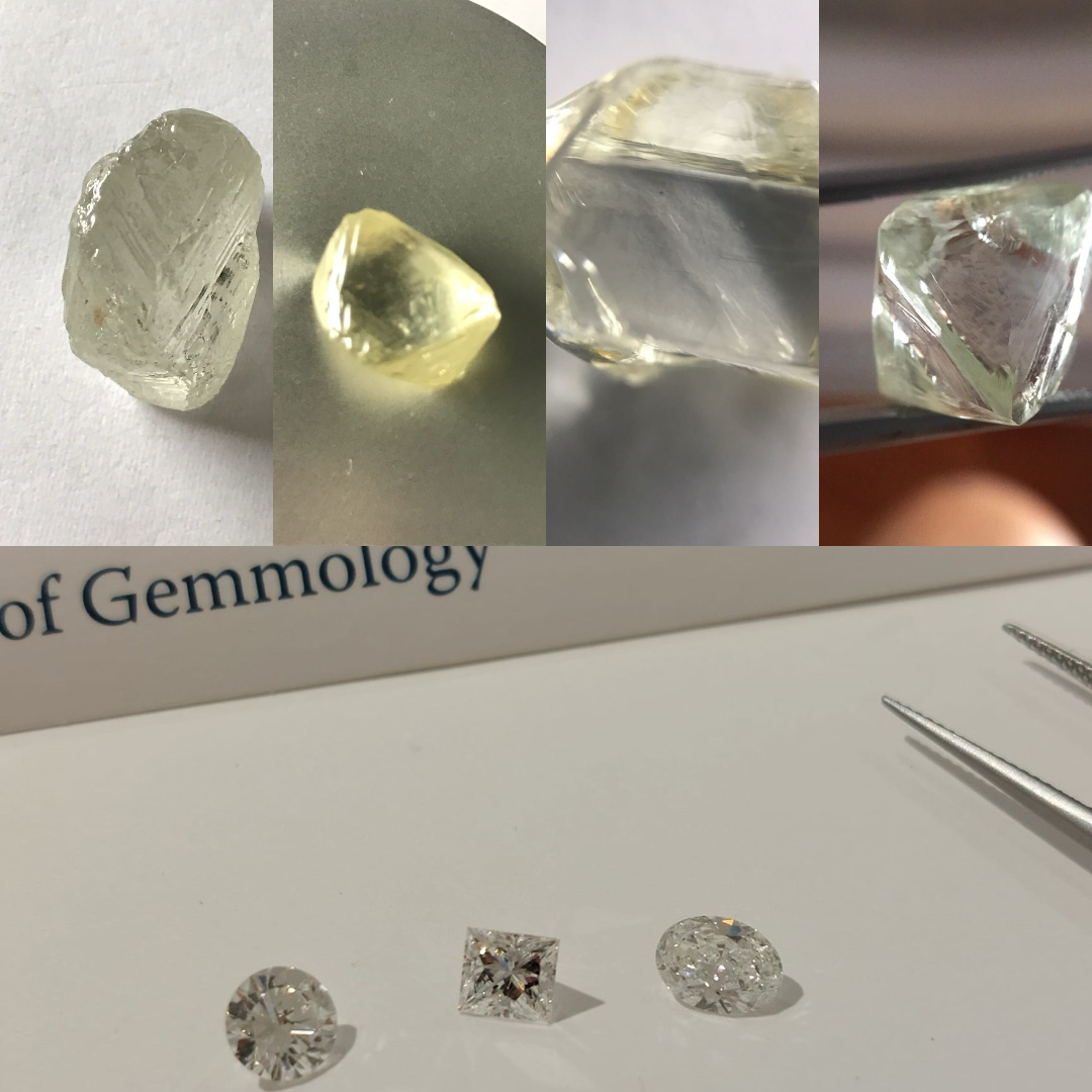 Diamants bruts examinés à la main et diamants taillés certifiés GIA — Laurent de Toledo